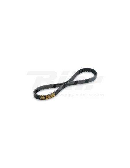 Correa X-Kevlar Malossi BMW C 600 SPORT BMW C 650 GT 6115687