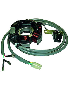 STATOR 6 POLOS 12V 90W (MOTOR PIAGGIO 50 2T)