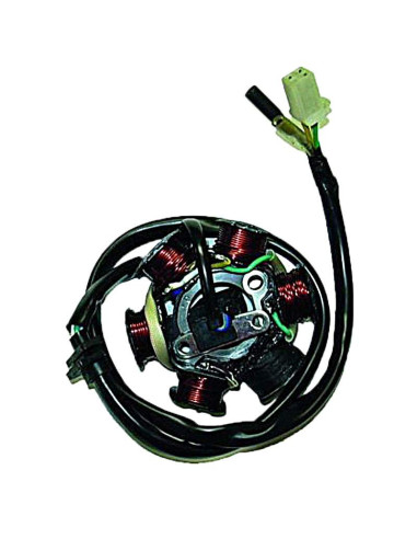 STATOR KOKUSAN 6 POLOS 12V 100W (MOTOR SYM 125/150 4T)