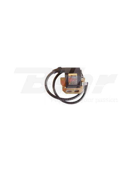 Bobina de encendido DZE 4036