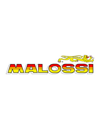 Variador Malossi Multivar 2000 Kymco Grand Dink 125