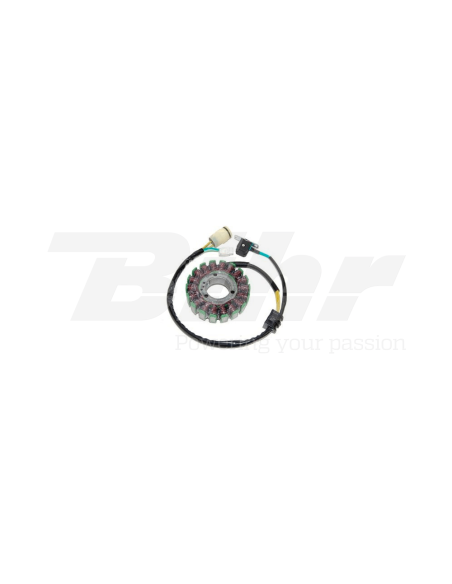 ESG950 Stator Yamaha YFZ660 Raptor 300W