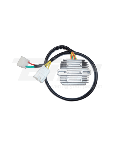 Regulador DZE 2461