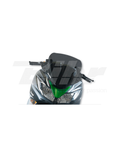 Pantalla Malossi Ahumada SPORT KAWA. J300 14-15 4516330B