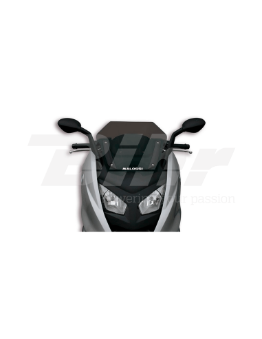 Pantalla Malossi Ahumada SPORT BMW C600 4515571B