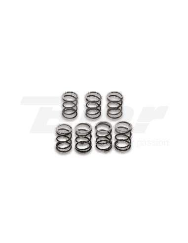 Muelles embrague Malossi x7VESPA COSA/PX E 200-T5 125 29 4586