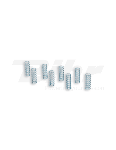 Muelles de embrague x8 VESPA PX 125-150 euro 2-3 Malossi 2913482
