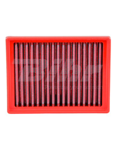 Filtro de aire BMC Triumph FM917/20