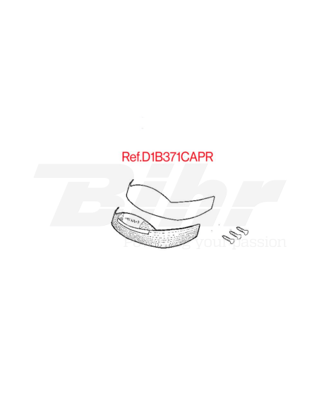 Recambio CATAD. PINTADO SH37 2012