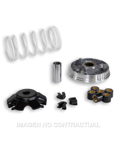 VARIADOR MALOSSI MULTIVAR HONDA SH 100, BALI 100