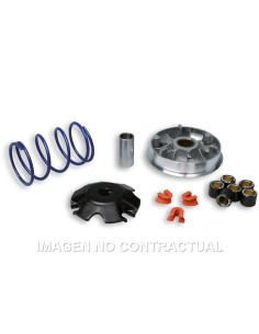 VARIADOR MALOSSI MULTIVAR SPEEDFIGHT 100 C/CATALIZADOR
