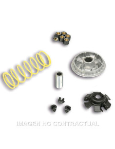 VARIADOR MALOSSI MULTIVAR  SYM JOYMAX 250 , CITYCOM 300