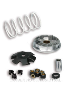 VARIADOR MALOSSI MULTIVAR PEUGEOT BUXY ZENITH, SPEEDAKE