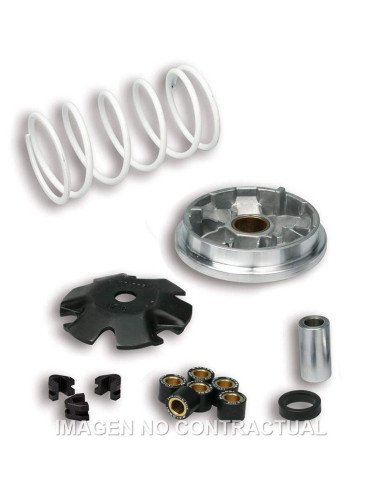 VARIADOR MALOSSI MULTIVAR PEUGEOT BUXY ZENITH, SPEEDAKE