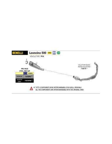 ARROW Escape Benelli Leoncino 800 Leoncino Acero 22-