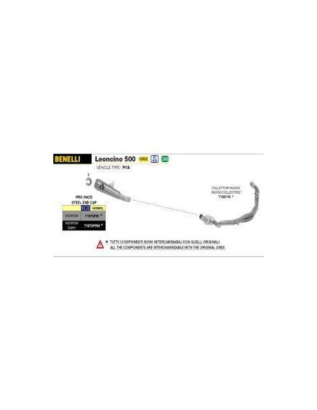 ARROW Colector Racing Benelli Leoncino 500 Pro-Race Acero 17-20