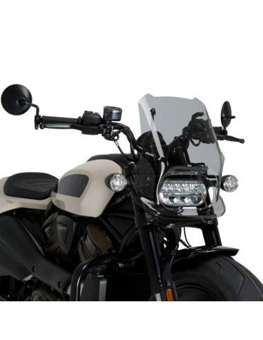 Cupula HD Sportster S RH1250S 21- Puig