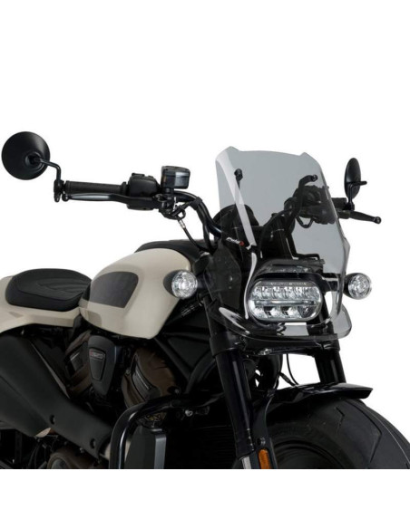 Cupula HD Sportster S RH1250S 21- Puig