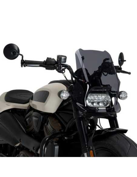 Cupula HD Sportster S RH1250S 21- Puig
