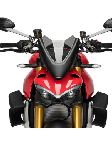 Cupula sport Ducati Streetfighter V4-S 20-