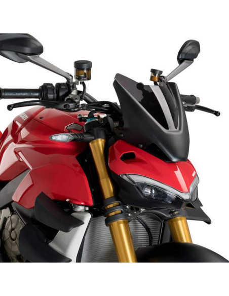 Cupula sport Ducati Streetfighter V4-S 20-