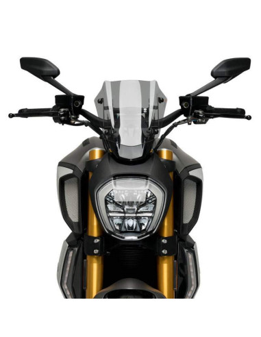 Cupula sport Ducati Diavel 1260S 19-