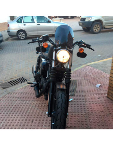 Cupula Harley Davidson Sportster 02- Naked New Generation