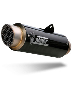 Escape Marca Mivv GP PRO CARBONO para BMW G310R 18- 2