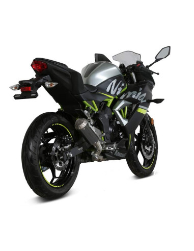 Escape Marca Mivv MK3 carbono para Kawasaki Z-ninja 125 19-