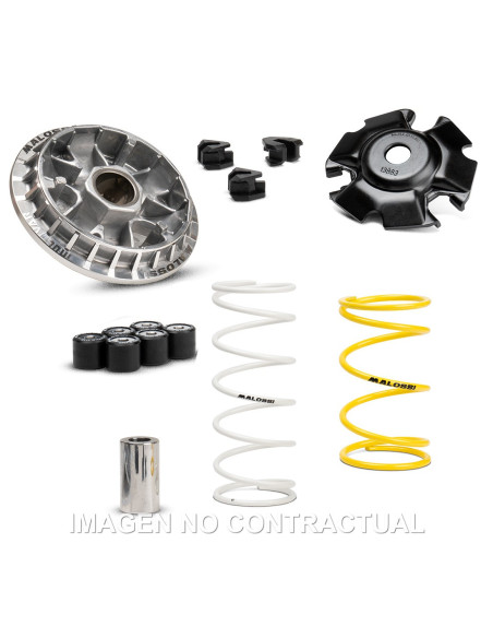 VARIADOR MALOSSI MULTIVAR HONDA SH 125i Euro3/4 | Tecnoescape Bike