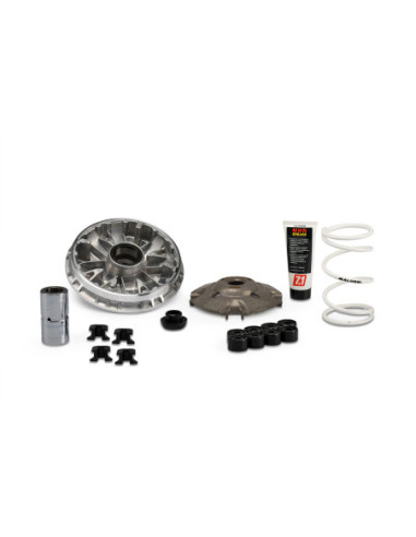 VARIADOR MALOSSI MULTIVAR HONDA SH 350 | Tecnoescape Bike