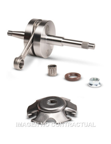 CIGUENAL MALOSSI MHR TEAM PIAGGIO BULON 14 MM | Tecnoescape Bike