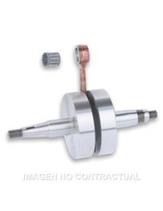 CIGUENAL RHQ DERBI DRD PRO R 50, GPR NUDE 50 2006- | Tecnoescape Bike