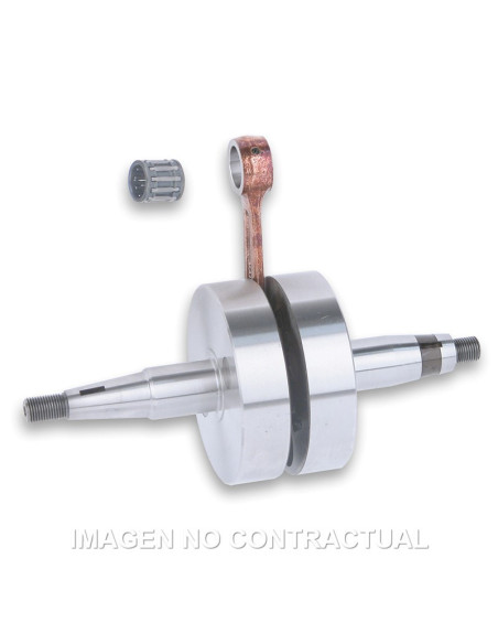 CIGUENAL RHQ DERBI DRD PRO R 50, GPR NUDE 50 2006- | Tecnoescape Bike
