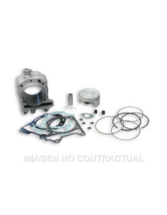 CILINDRO MALOSSI ALUMINIOAPRILIA SPORTCITY 125 | Tecnoescape Bike