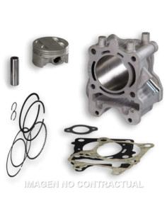 CILINDRO MALOSSI D.61 MM 4 STROKE HONDA FORZA 125 | Tecnoescape Bike