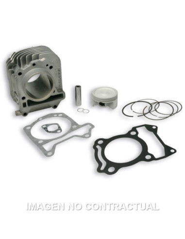 CILINDRO MALOSSI D.63 PIAGGIO LIBERTY IGET 125 E5 | Tecnoescape Bike