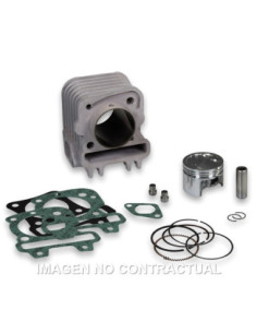 CILINDRO MALOSSI VESPA PRIMAVERA 3V IGET 50 | Tecnoescape Bike